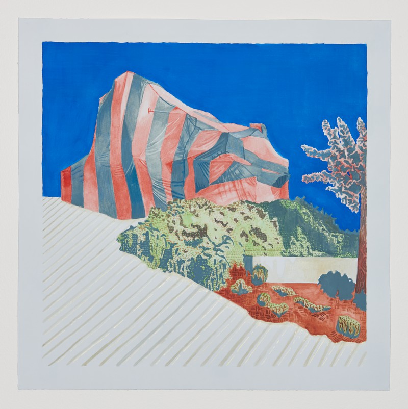 house shaped tent (i)